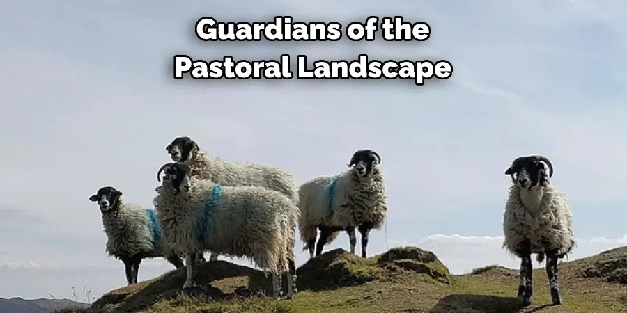 Guardians of the 
Pastoral Landscape