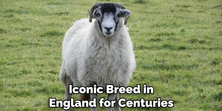 Iconic Breed in England for Centuries