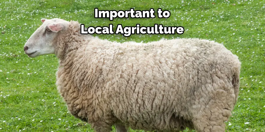 Important to Local Agriculture