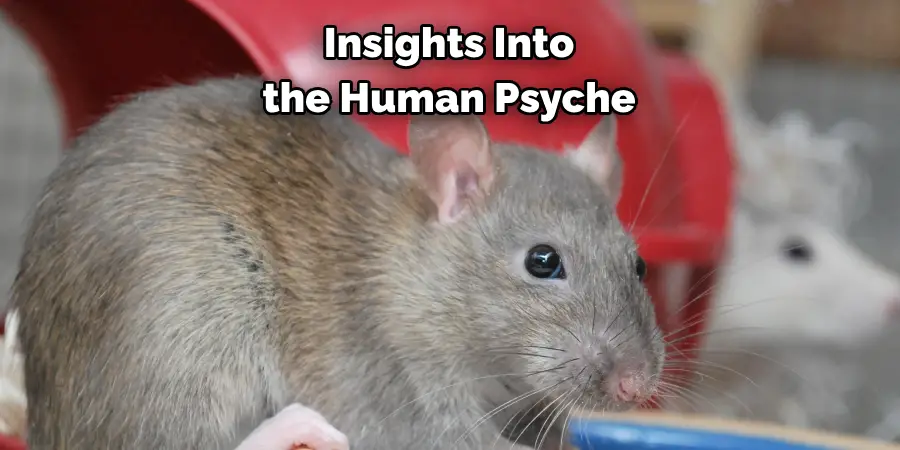 Insights Into 
the Human Psyche