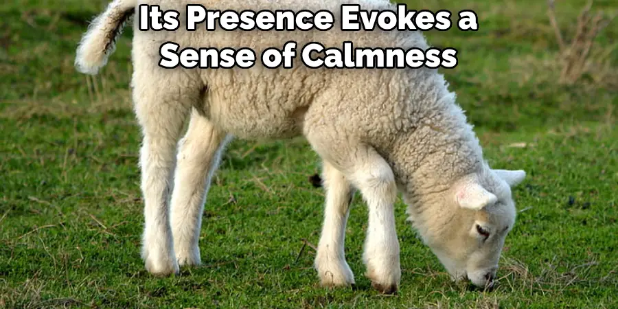 Its Presence Evokes a Sense of Calmness