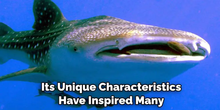 Whale Shark Spiritual Meaning, Symbolism and Totem (2026)