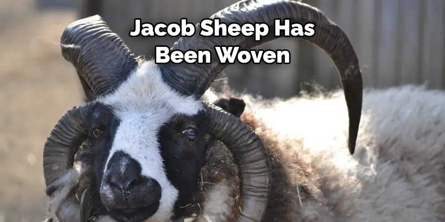 Jacob Sheep Has Been Woven
