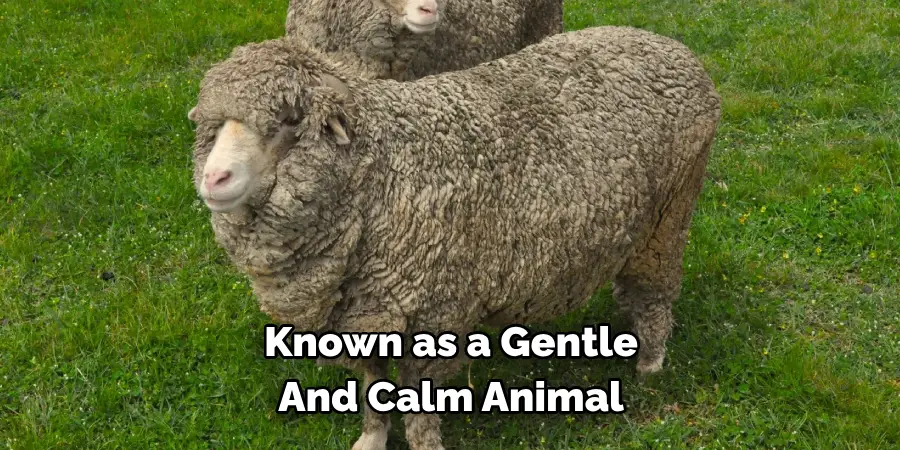 Known as a Gentle 
And Calm Animal