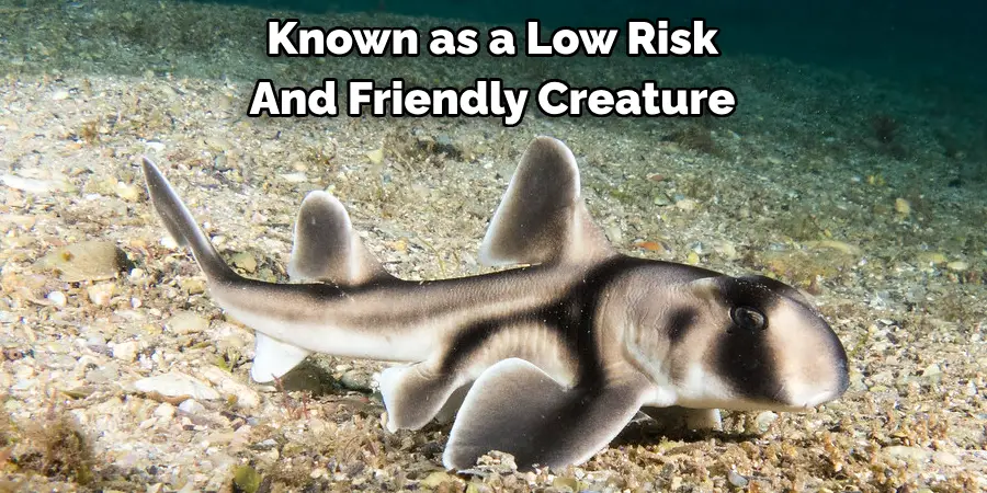 Known as a Low Risk
And Friendly Creature