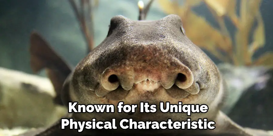 Known for Its Unique 
Physical Characteristic