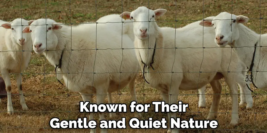 Known for Their Gentle and Quiet Nature