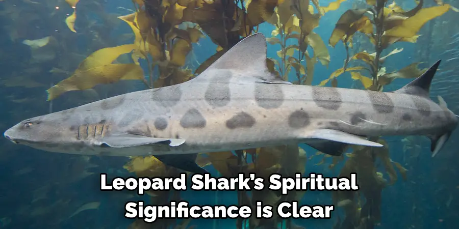 Leopard Shark’s Spiritual 
Significance is Clear