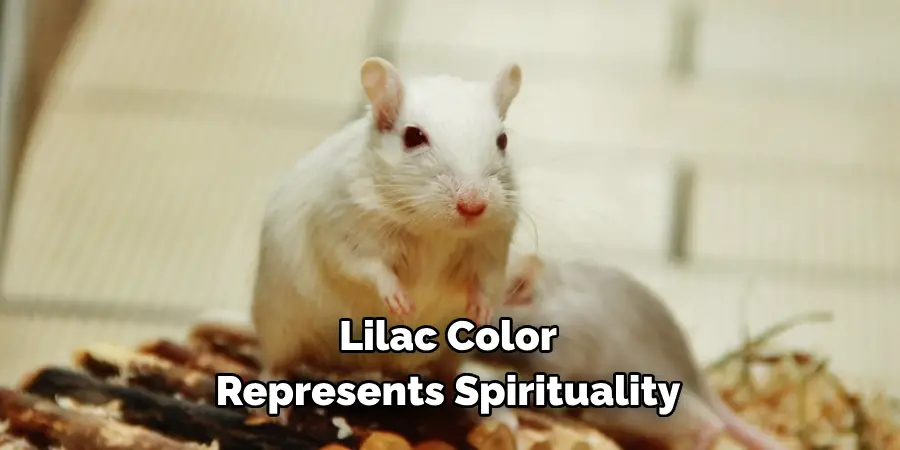 Lilac Color Represents Spirituality