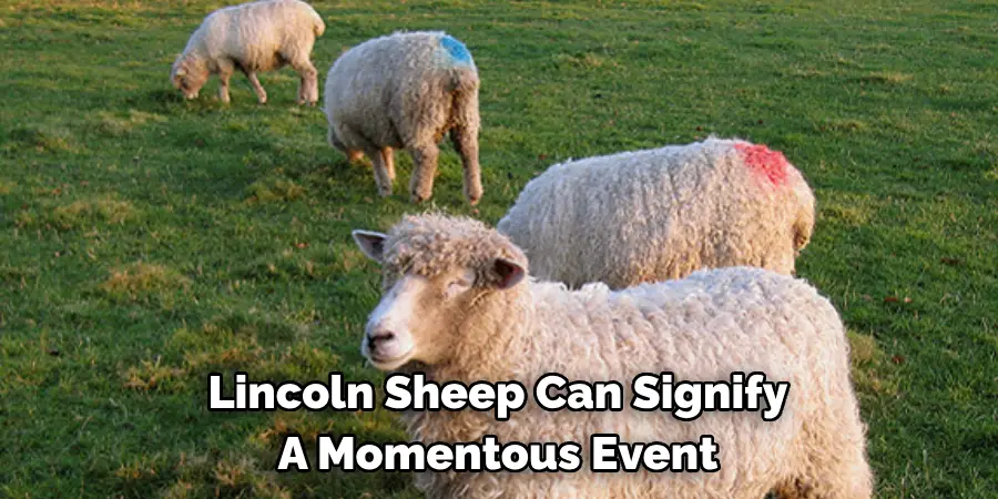 Lincoln Sheep Can Signify 
A Momentous Event
