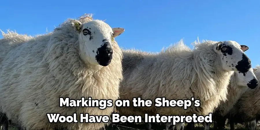 Markings on the Sheep's 
Wool Have Been Interpreted
