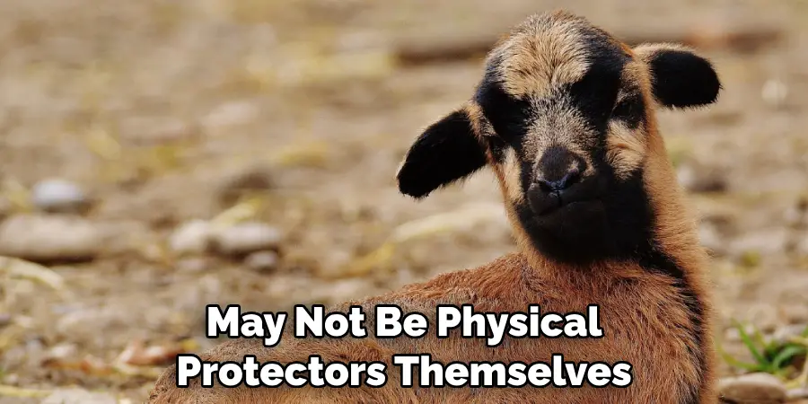 May Not Be Physical 
Protectors Themselves