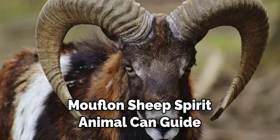Mouflon Sheep Spirit 
Animal Can Guide