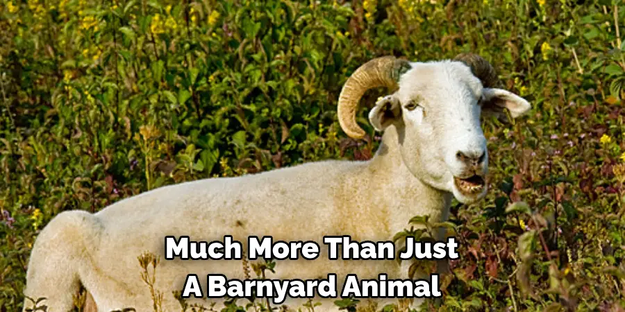 Much More Than Just 
A Barnyard Animal