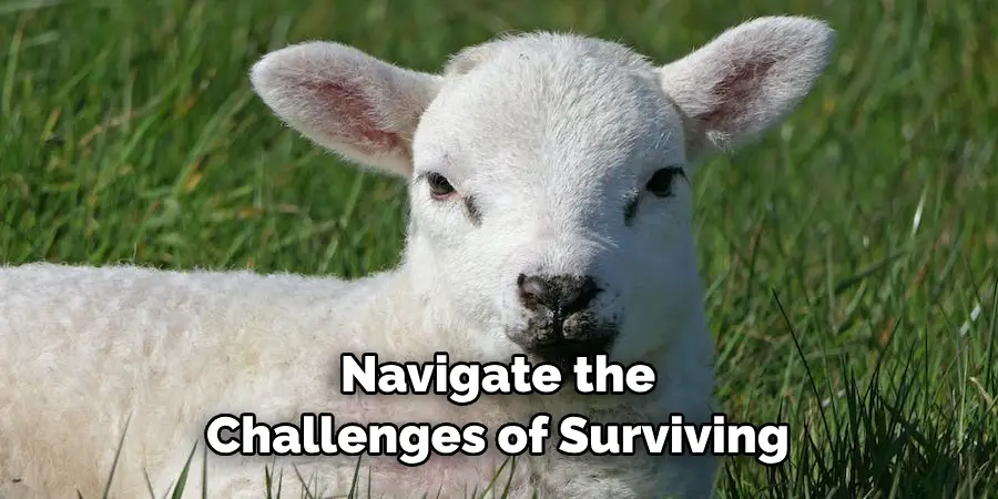 Navigate the Challenges of Surviving