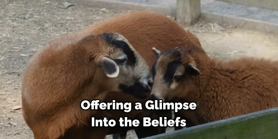 Offering a Glimpse 
Into the Beliefs