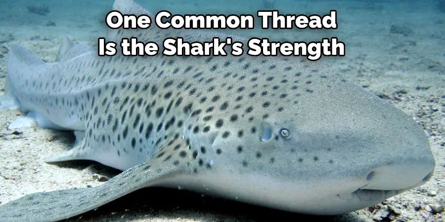 One Common Thread 
Is the Shark's Strength