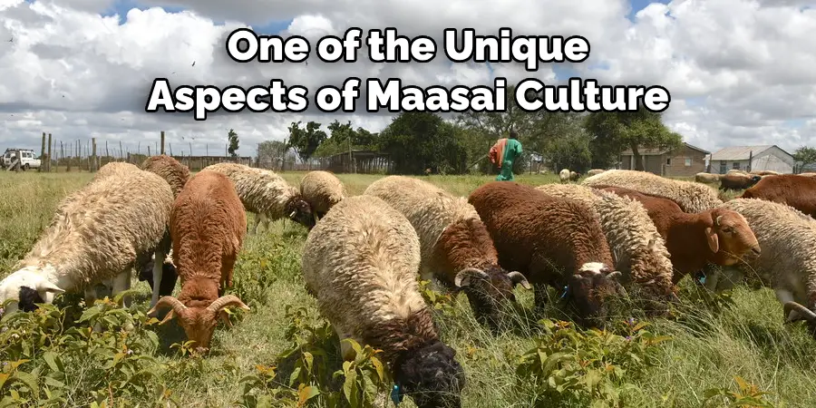 One of the Unique Aspects of Maasai Culture