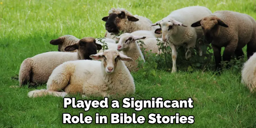 Played a Significant Role in Bible Stories