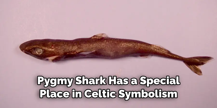 Pygmy Shark Has a Special
Place in Celtic Symbolism