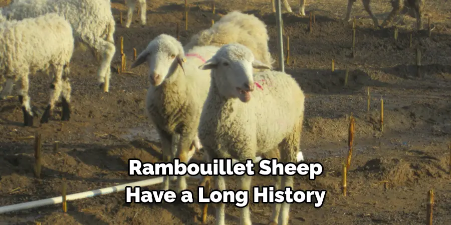 Rambouillet Sheep 
Have a Long History 