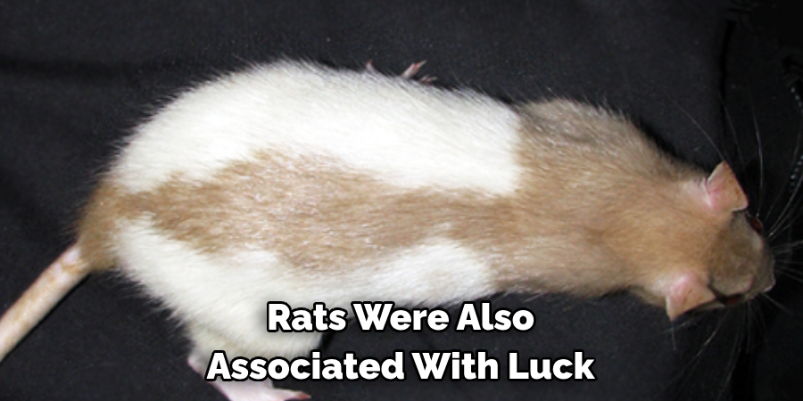 Rats Were Also 
Associated With Luck
