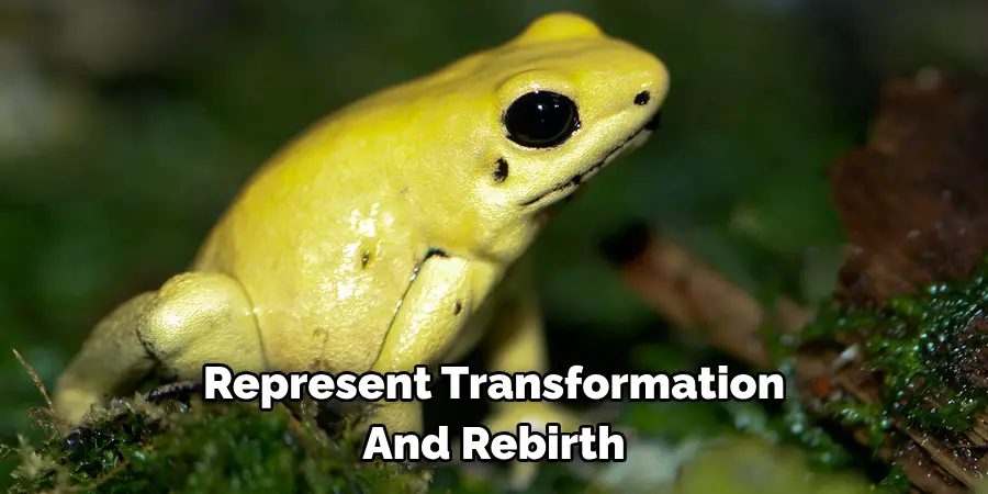 Represent Transformation 
And Rebirth