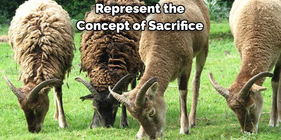 Represent the 
Concept of Sacrifice