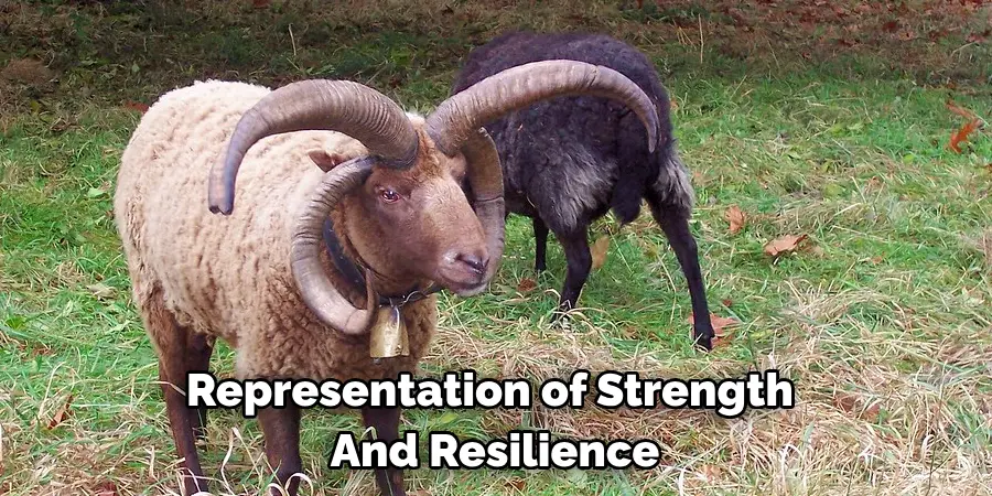 Representation of Strength 
And Resilience