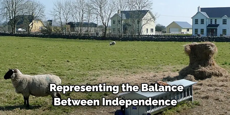 Representing the Balance 
Between Independence 
