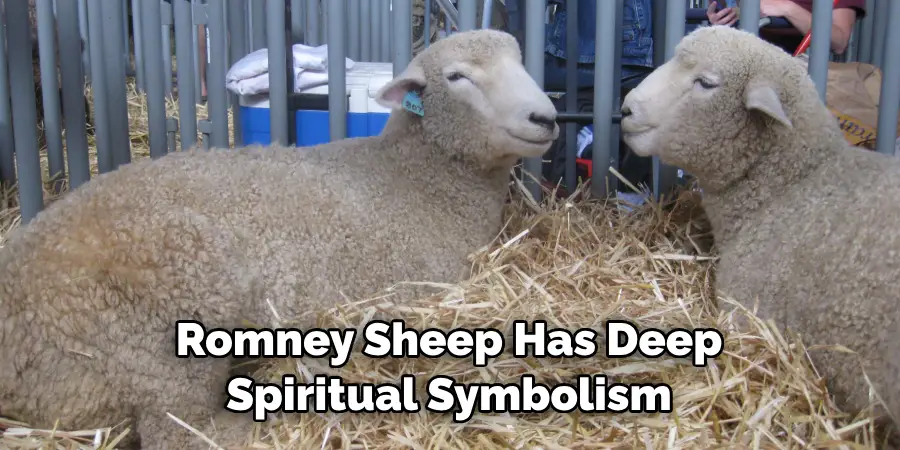 Romney Sheep Has Deep 
Spiritual Symbolism