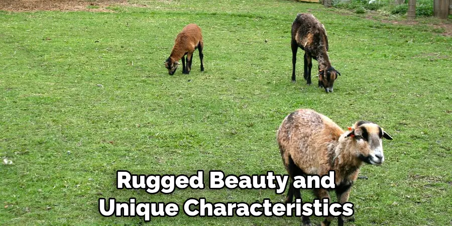  Rugged Beauty and 
Unique Characteristics