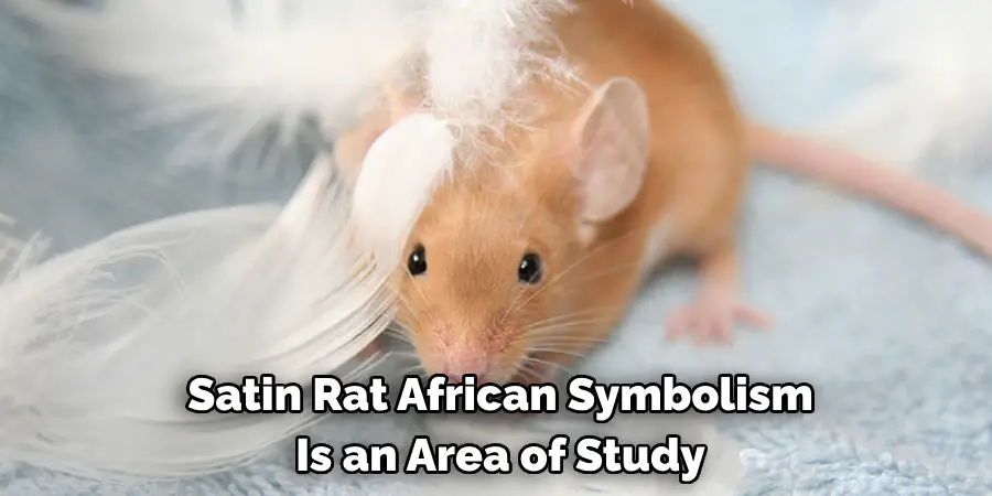 Satin Rat African Symbolism 
Is an Area of Study