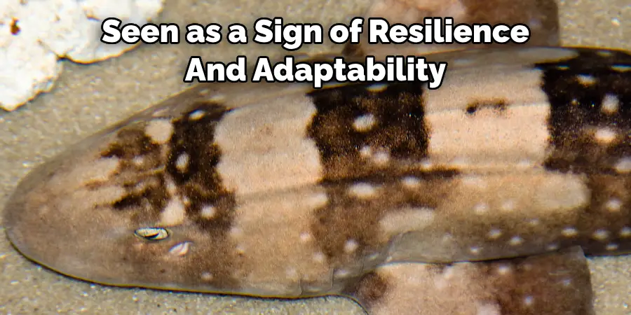Seen as a Sign of Resilience 
And Adaptability