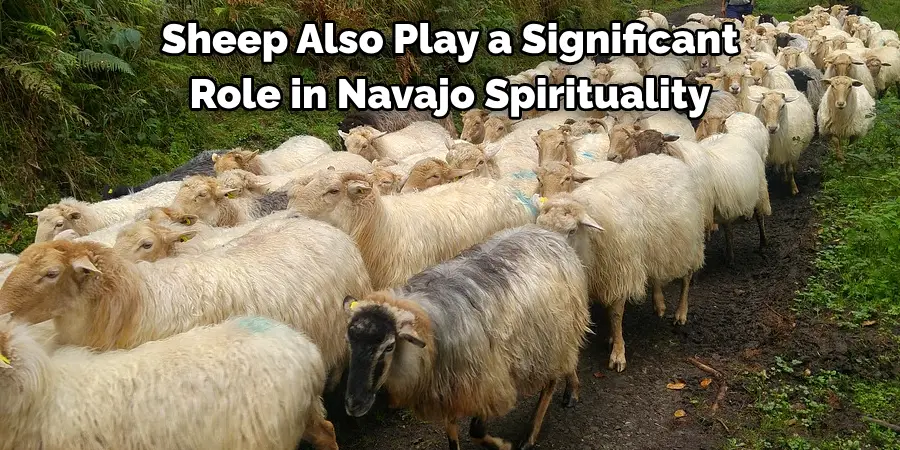 Sheep Also Play a Significant 
Role in Navajo Spirituality