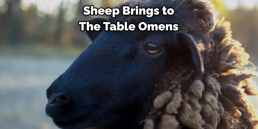 Sheep Brings to 
The Table Omens