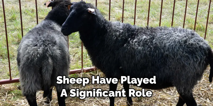 Sheep Have Played 
A Significant Role