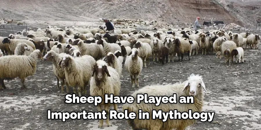  Sheep Have Played an 
Important Role in Mythology