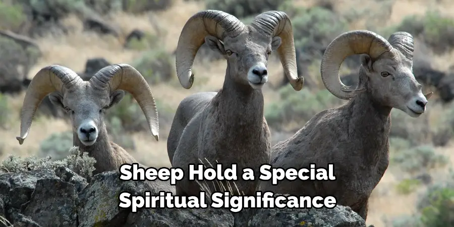 Sheep Hold a Special 
Spiritual Significance