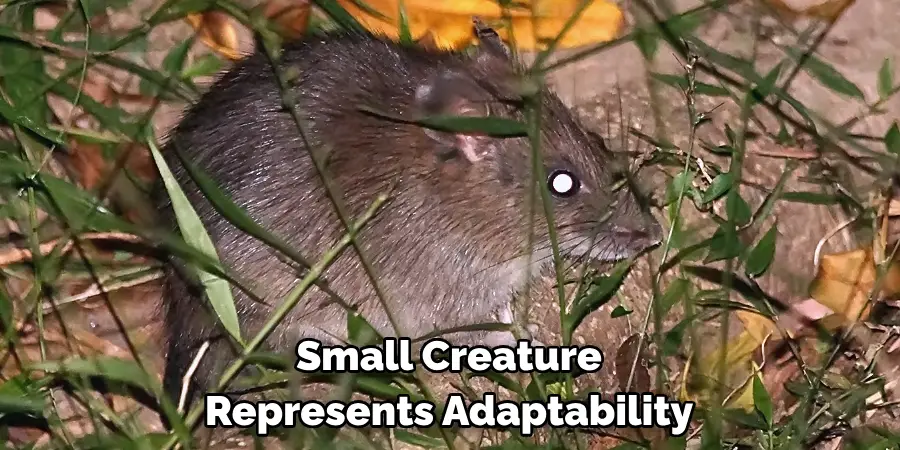 Small Creature 
Represents Adaptability