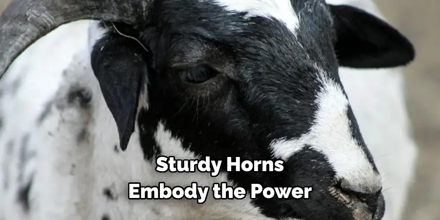 Sturdy Horns 
Embody the Power