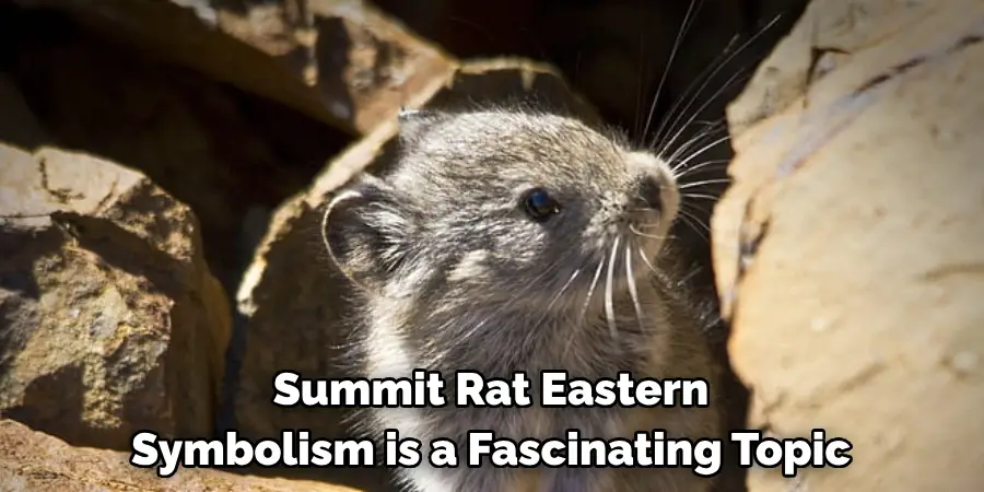 Summit Rat Eastern 
Symbolism is a Fascinating Topic
