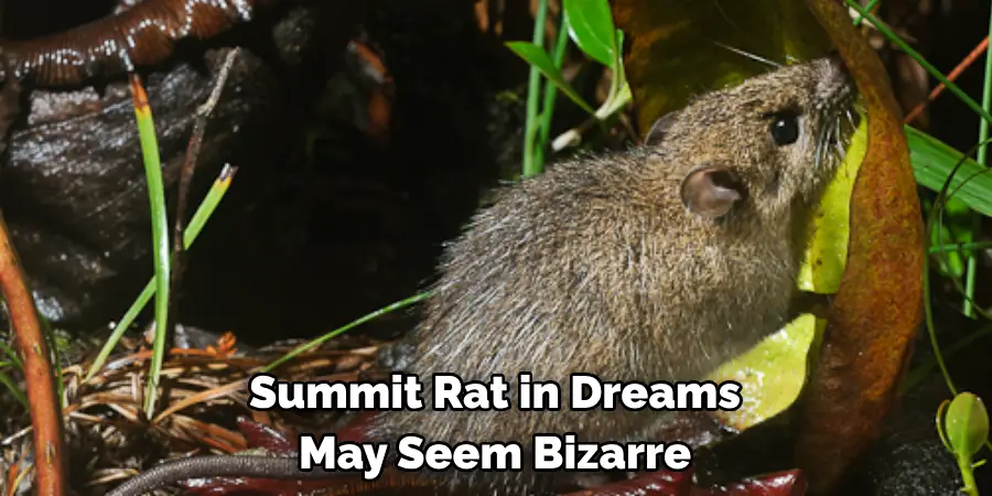 Summit Rat in Dreams 
May Seem Bizarre