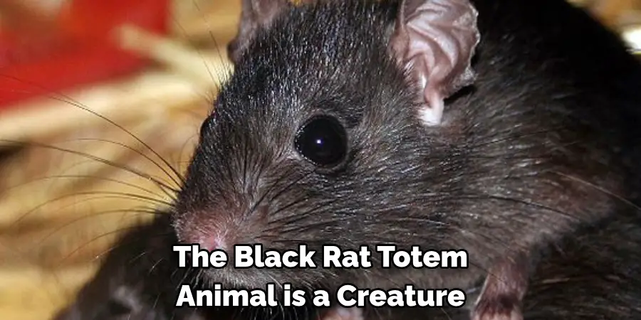 The Black Rat Totem 
Animal is a Creature