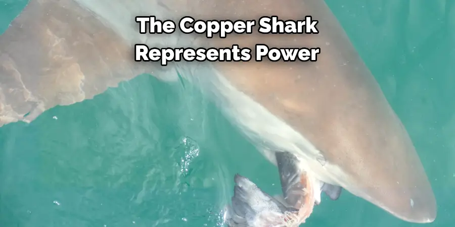 The Copper Shark Represents Power