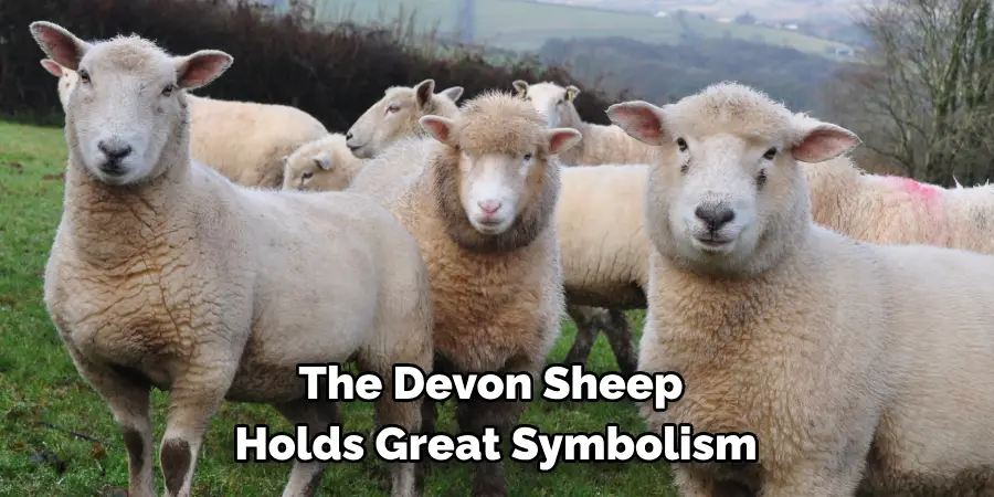The Devon Sheep 
Holds Great Symbolism