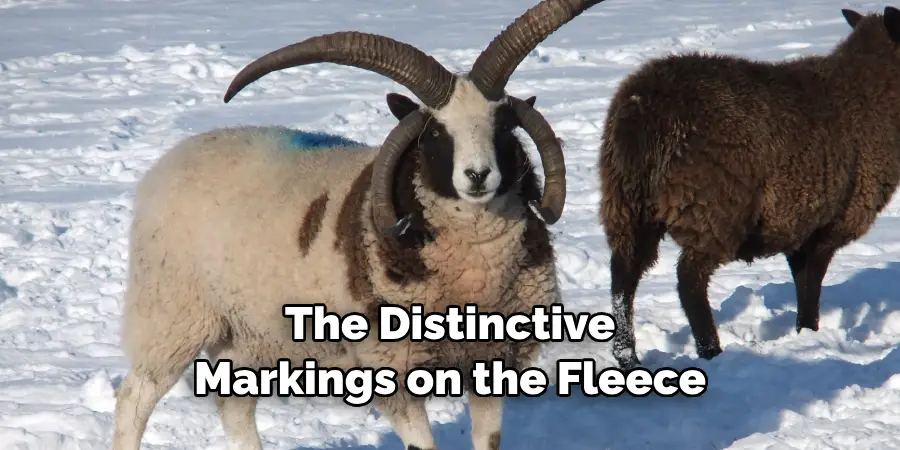 The Distinctive 
Markings on the Fleece