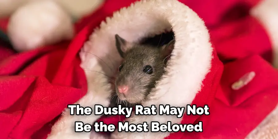 The Dusky Rat May Not
Be the Most Beloved
