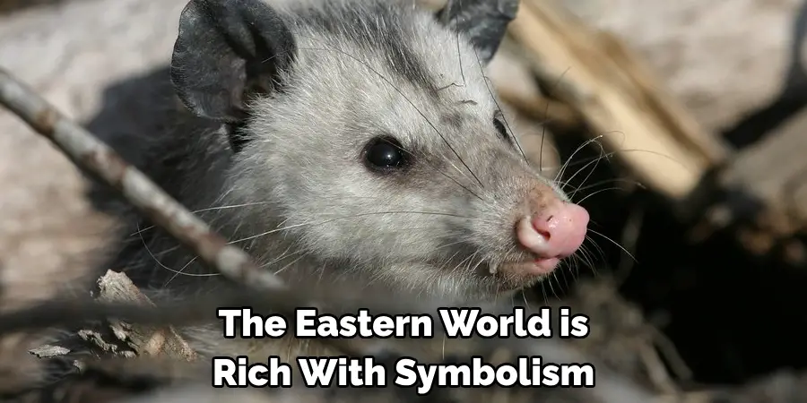 The Eastern World is 
Rich With Symbolism