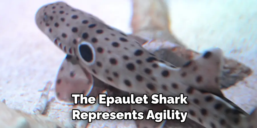 The Epaulet Shark 
Represents Agility